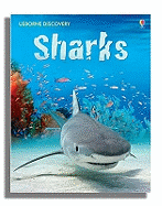 Discovery Sharks