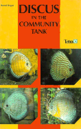 Discus in the Community Tank