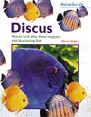 Discus - Degen, Bernd