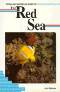 Diving and Snorkeling Guide to the Red Sea