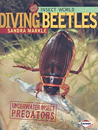 Diving Beetles: Underwater Insect Predators