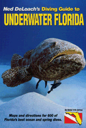 Diving Guide to Underwater Florida
