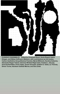 DNA #24: Evidence Ensembles - Klingan, Katrin (Editor), and Houde, Nick (Editor)