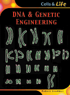 DNA & Genetic Engineering