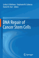 DNA Repair of Cancer Stem Cells
