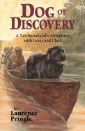 Dog of Discovery