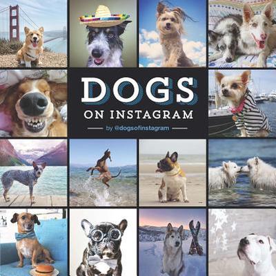 Dogs on Instagram - @Dogsofinstagram