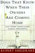 Dogs That Know When Their Owners Are Coming Home: And Other Unexplained Powers of Animals