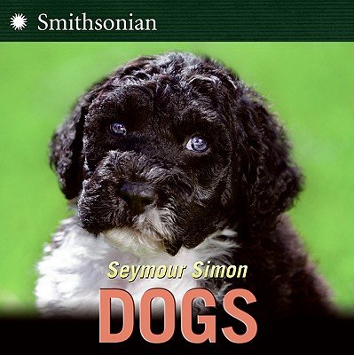 Dogs - Simon, Seymour