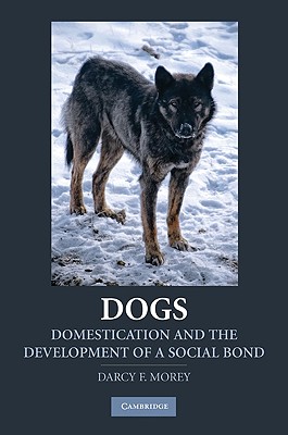 Dogs - Morey, Darcy