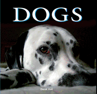 Dogs