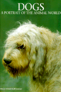 Dogs
