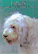 Dogs