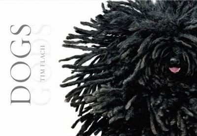 Dogs - Flach, Tim