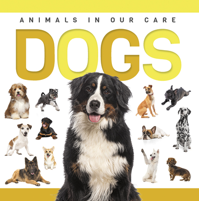 Dogs - Nodes, Eliza