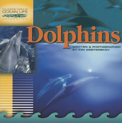 Dolphins - Westerskov, Kim