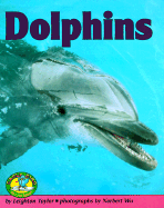 Dolphins