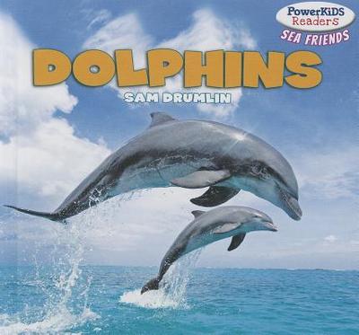 Dolphins - Drumlin, Sam