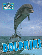Dolphins - Hardyman, Robyn