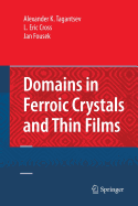 Domains in Ferroic Crystals and Thin Films