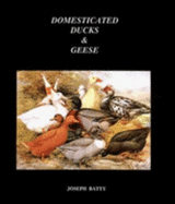 Domesticated Ducks and Geese