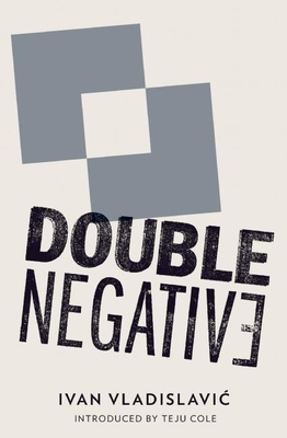 Double Negative - Vladislavic, Ivan