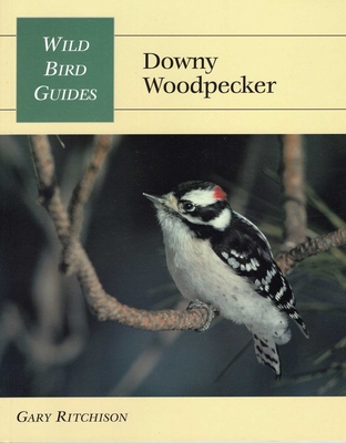 Downy Woodpecker - Ritchison, Gary