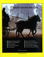 Draft Horse Images