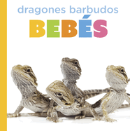 Dragones Barbudos Beb�s