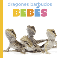 Dragones Barbudos Beb�s