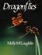 Dragonflies