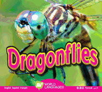 Dragonflies