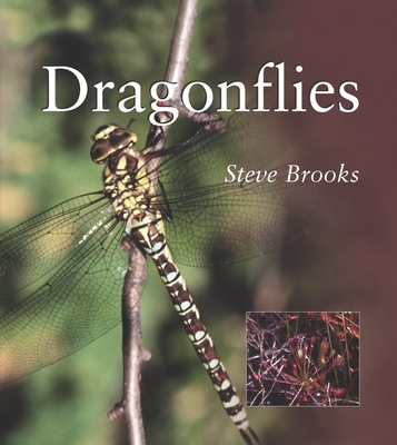Dragonflies - Brooks, Steve