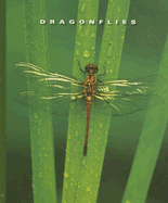 Dragonflies