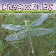 Dragonflies