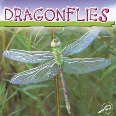 Dragonflies - Cooper, Jason