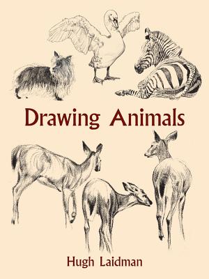 Drawing Animals - Laidman, Hugh