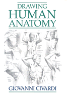 Drawing Human Anatomy