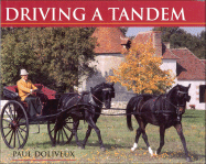 Driving a Tandem