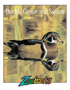 Ducks, Geese & Swans