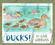 Ducks!