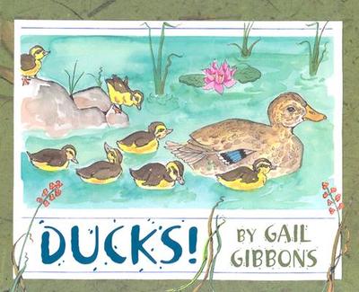 Ducks! - Gibbons, Gail
