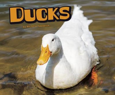 Ducks - Hasselius, Michelle