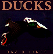 Ducks - Jones, David