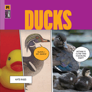 Ducks