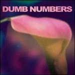 Dumb Numbers