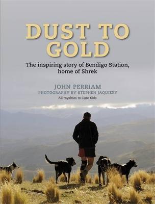 Dust To Gold - Perriam, John