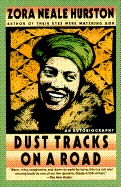 Dust Tracks on a Road