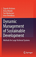 Dynamic Management of Sustainable Development: Methods for Large Technical Systems