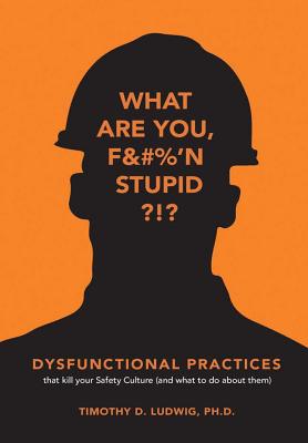 Dysfunctional Practices - Ludwig, Timothy